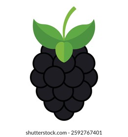 color full dewberry on white background