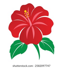 Color full hibiscus flower vector art 