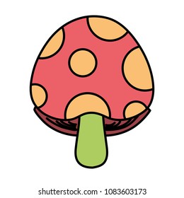 color fungus plant natural organic vegetable