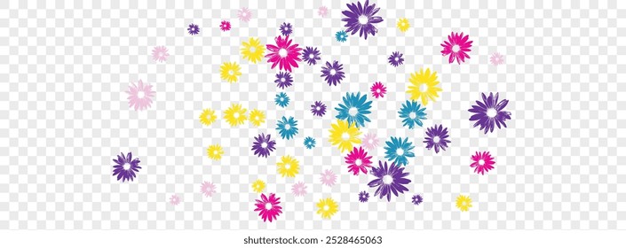 Fondo de jardín de color Vector transparente. Fondo de belleza de manzanilla. Violeta Floral Retro. Tarjeta de presentación. Planta multicolor de la fábrica.