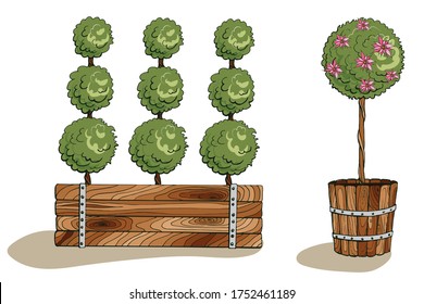 Color garden pots with trees. Vector illustrations