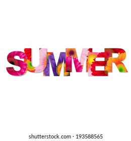 Color Gerbers Summer Banner, Vector Illustration