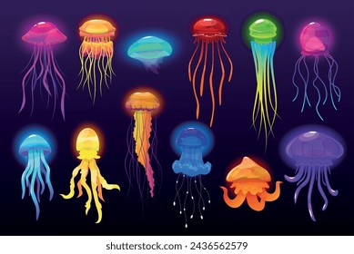 Color glowing jellyfish. Translucent jelly like marine life. Plankton with poisonous tentacles. Exotic underwater fauna. Undersea medusa. Invertebrate creature. Water