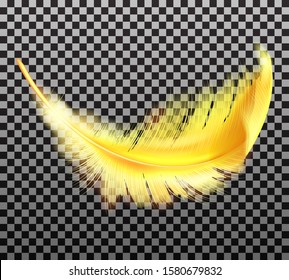 Color golden fluffy feather vector realistic isolated on transparent background. Yellow soft feather from wings of tropical birds or angel, symbol of softness and purity, design element