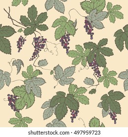 Color grapevine seamless pattern based on hand drawn sketch. Great for wineries, grocery stores, aromatherapy, wine label design.