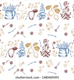 Color graphic seamless with herbs. Vector illustration.Scented herbs. Set of various medicinal plants. Hand drawing.Seamless pattern for decorating various surfaces. 