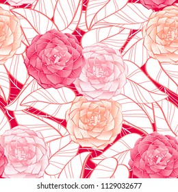 Color graphic seamless pattern - flowers and leaves of a Japanese Camellia plant (Camellia japonica). Sketch, vector illustration, isolated on red background.