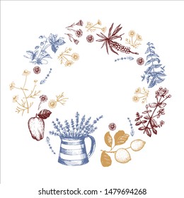 Color graphic wreath with herbs. Vector illustration. Scented herbs. Set of various medicinal plants. Hand drawing. Decorative element for the design of cards and invitations.  