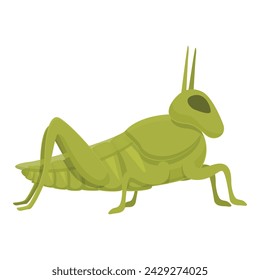 Color grasshopper icon cartoon vector. Nature insect. Creature natural