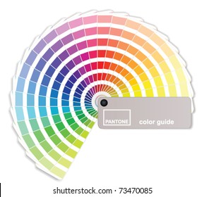 Color guide