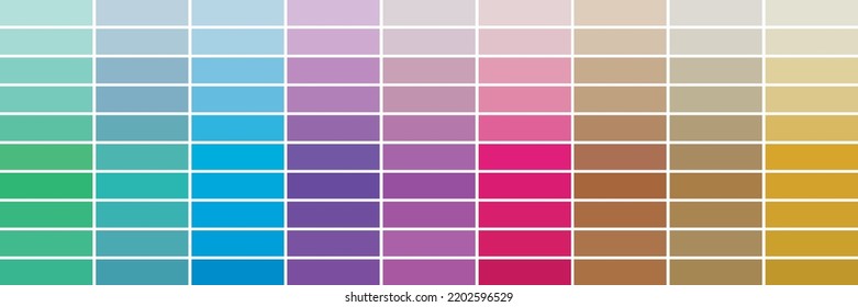Banner de la guía de color. Ilustración de fondo del vector.