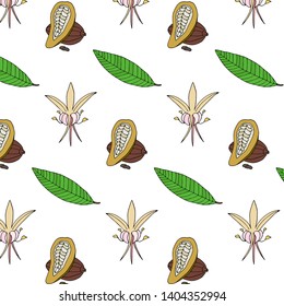 Color hand drawn cacao pattern. Natural  
 vector background of the cacao beans, flowers, leaves.