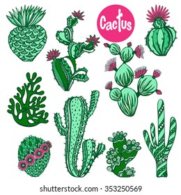 Color hand drawn cactus succulent house plants decorative icons set isolated vector illustration