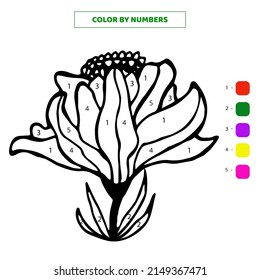 Color hand drawn cute single doodle flower in bloom by numbers. Vector illustration.
