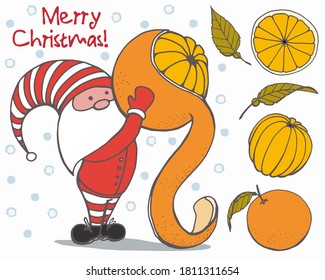 Color hand drawn illustration of christmas elf with orange. Sliced orange. Peel the orange. Handwritten graphic techniqe