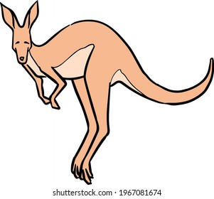 Color hand drawn jumping kangaroo