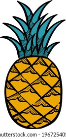 Ilustración vectorial de piña dibujada a mano de color