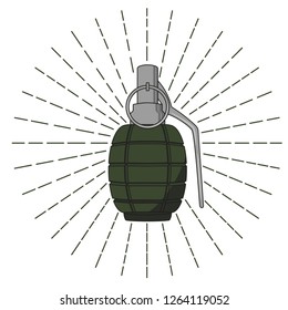 Color hand grenade sign. Vector illustration.