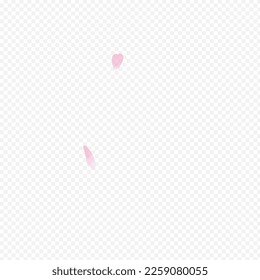 Color Heart Vector Transparent Background. Bloom Falling Card. Blossom Free Cover. Rosa March Banner. White Cherry Realistic Template.