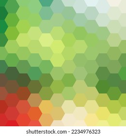 Color hexagon background. Vector graphics. Presentation template.