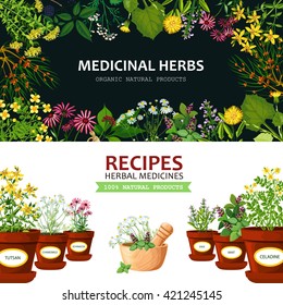 Color horizontal banners with title depicting medicinal herbs in clay mortar and recipes vector illustration