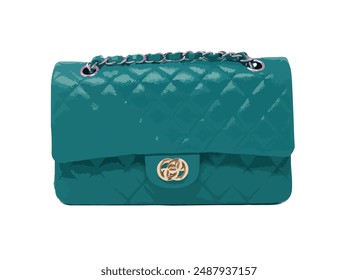 color icon logo sign symbol art buy hand bag box blue green coco model woman lady female kit hold handle fancy gift wear vector coco detail model trend style Italy Paris carry cloth buy case Fendi