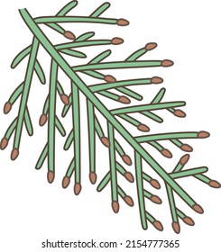 Farbillustration für japanische Zypressen (Hinoki)