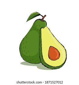 Color illustration of avocado in vector. Bright avocado for postcard