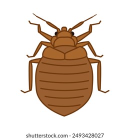 Farbe Illustration von Bettwanzen