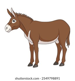 Color illustration with brown donkey, mule. Isolated vector object on white background.