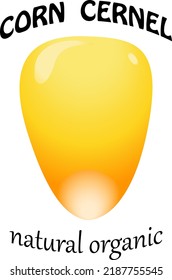 Color illustration of corn grain.Vector illustration of corn grain with text on transparent background.
