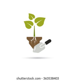 Color illustration of digging the plant
