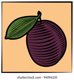 Color illustration / drawing of one plum which made as engraving technique. Can be used as element for label or as symbol.