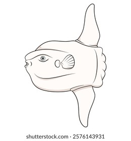 Color illustration with fish moon, mola mola. Isolated vector object on white background.