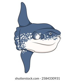 Color illustration with fish moon, mola mola. Isolated vector object on white background.