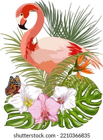 Color illustration with flamingos.Vector illustration with pink flamingo and tropical plants on a transparent background.