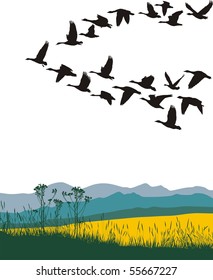 Color illustration of the flying geese