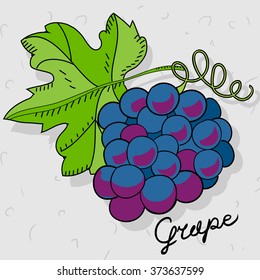 Color illustration Grape with caption fruit name on a gray scratched background.