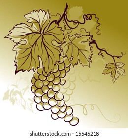color illustration with grapes