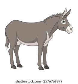 Color illustration with gray donkey, mule. Isolated vector object on white background.