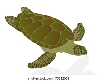 19,761 Swimming sea turtles water color Images, Stock Photos & Vectors ...