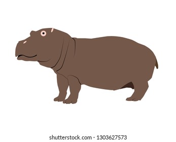 Color illustration of a hippopotamus. Isolated vector object on white background.