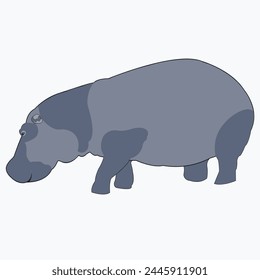 Color illustration of a hippopotamus. Isolated vector object on white background.