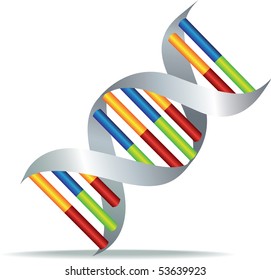 color illustration of a human dna cell