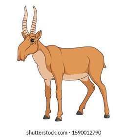 Color illustration with the image of the saiga antelope. Isolated vector objects on a white background.