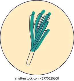 Color illustration of leek. Idea for design, for blogs, for print.