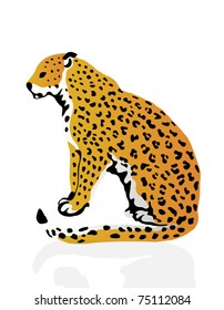 Color illustration of leopard