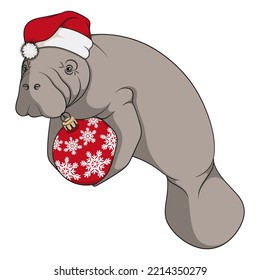 Color illustration with manatee, a sea cow in a red Christmas hat with a Christmas tree toy. Isolated vector object on a white background.