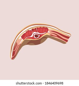 
color illustration of meat for butcher shop and business