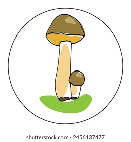 Color illustration of a mushroom on a white background in a circle.